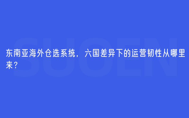 东南亚海外仓选系统，六国差异下的运营韧性从哪里来？